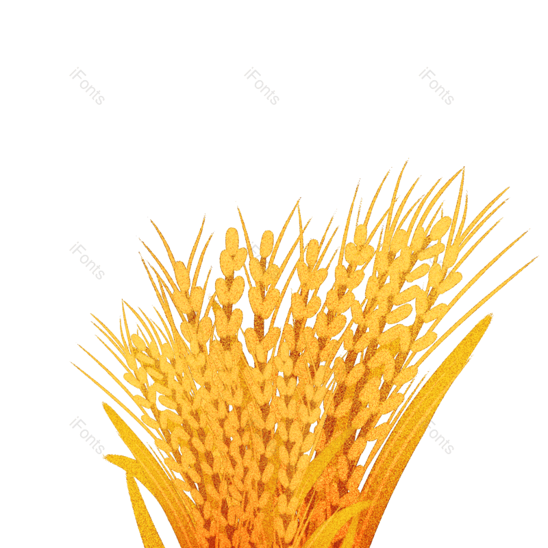 芒种图片,小满元素,秋天PNG,丰收免抠素材